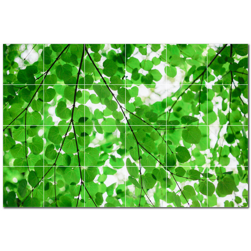 Photo d'arbres 12 x 12