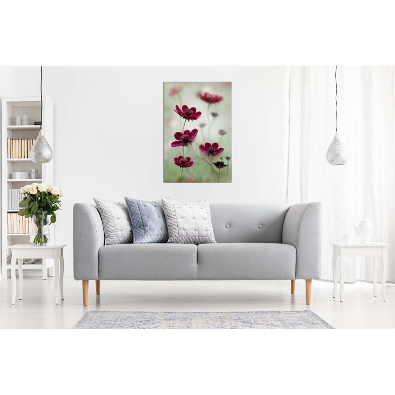 Pink Cosmos - Wrapped Canvas Print, 76cm H x 51cm W