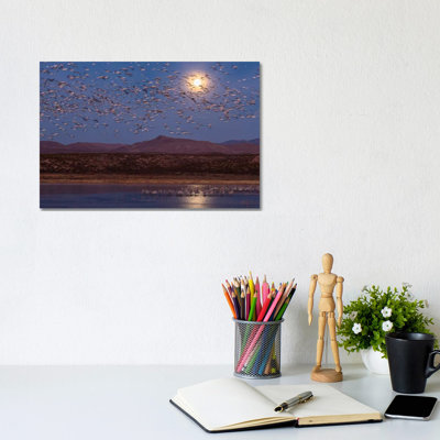USA, New Mexico, Bosque Del Apache National Wildlife Refuge. Full Moon And Bird Flocks. by Jaynes Gallery - Wrapped Canvas Print