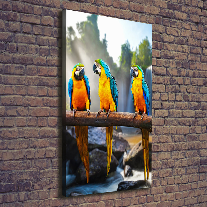 Macaw Parrots - Wrapped Canvas Print
