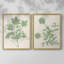 Impression encadrée Vintage Garden I-Premium - prête à être accrochée - aucun clou requis - aucun clou requis-798656357-798656379