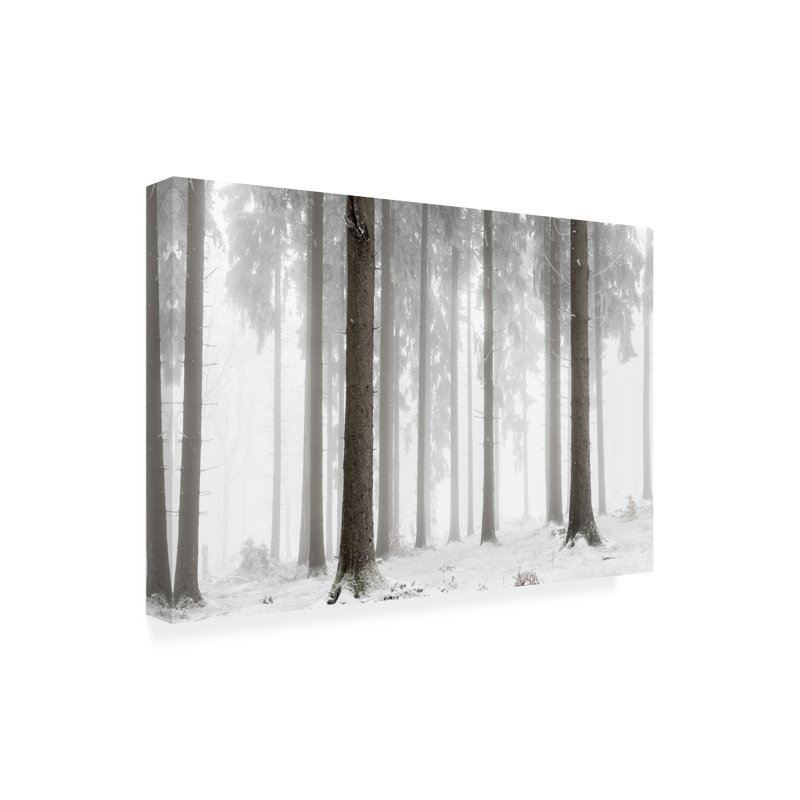 Art sur toile «olog », H 16 po x l 24 po