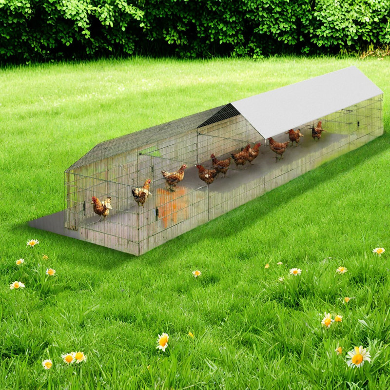 Grand poulailler en métal avec couvercle, cour de ferme extensible
