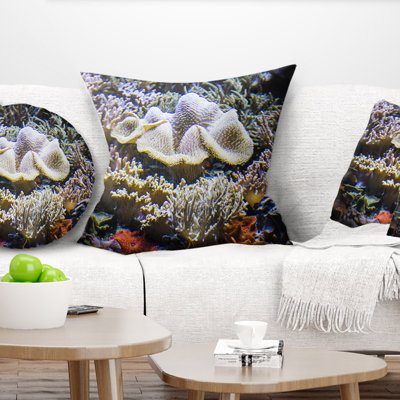 Schafer - Magnifique fond marin avec coussin de poisson