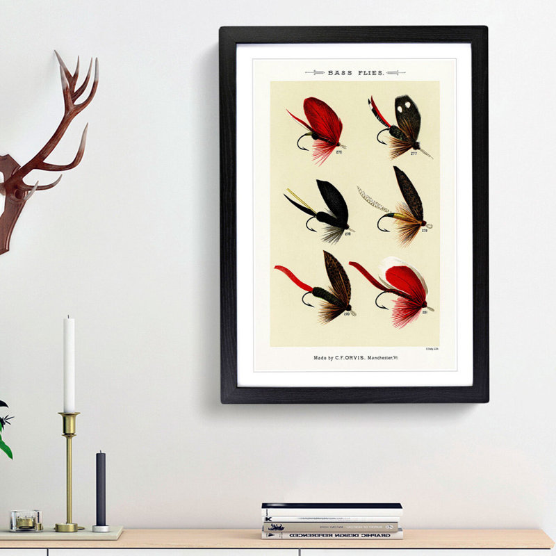 Bass Fishing Flies Versions 3 by Mary Orvis Marbury - Picture Frame Painting Print, 36cm H x 27cm W x 2cm D, Black Framed