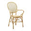 Chaise avec accoudoirs Jenkintown-1944710071