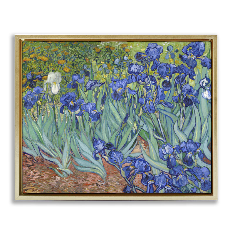 "Classic Van Gogh Irises", art mural sur toile flottante noire par one1000paintings, Cadre flottant métallique doré