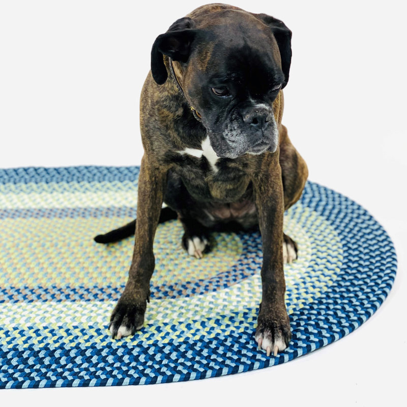 Tapis intérieur / extérieur Quinebaug - bleu, Ovale 13 pi x 16 pi