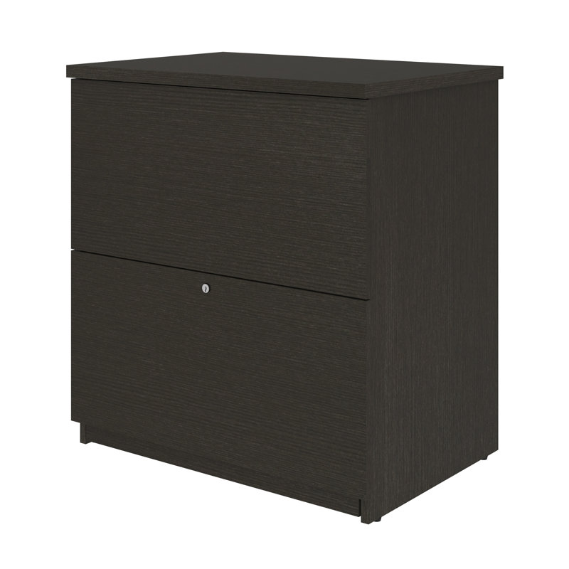 Pasiak 28.4'' Wide 2 -Drawer File Cabinet, Antigua