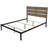 Middlebury Metal Standard Bed-1191885466