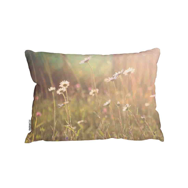 Cushion