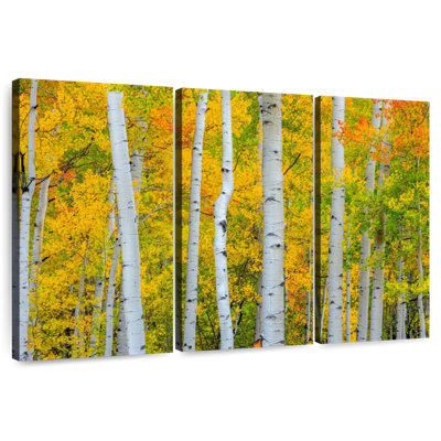 Alvord Telluride Trees