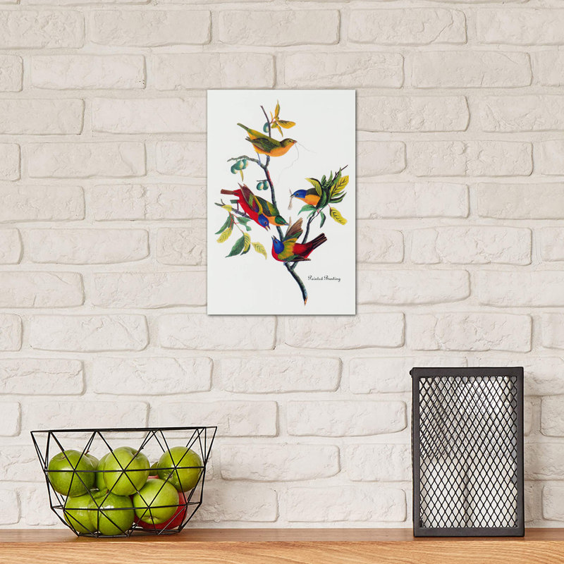 Painted Bunting by John Audubon - Painting on Canvas, 101.6 cm H x 66.04 cm W x 1.91 cm D, No Frame