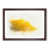 Walnut Framed
