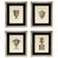 Antique Vases Print by Giovanni Battista