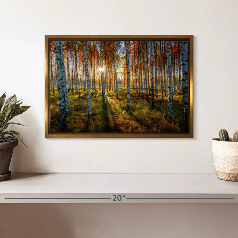 Forêt de bouleaux suédois, Cadre flottant doré, 13 po x 9 po
