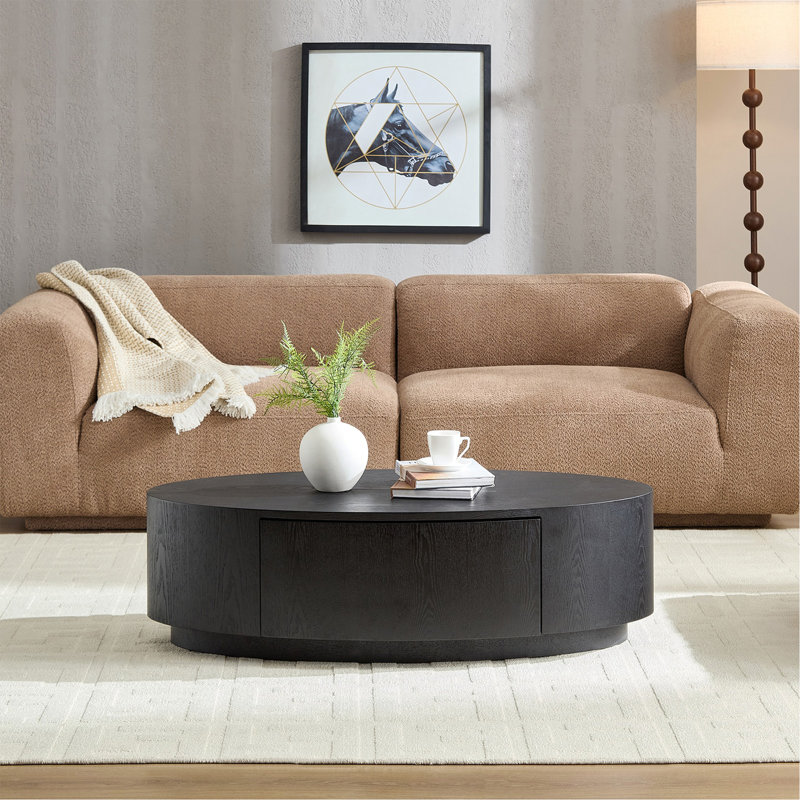 Table basse ovale de luxe moderne, pièce décorative élégante pour le salon, sans assemblage, Black