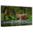 Brampt Tiger In The River-107688182