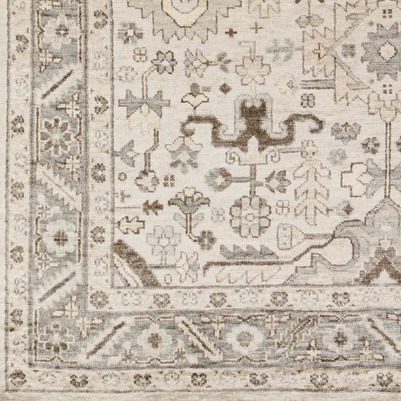 Bogaerts Viscose Oriental Indoor Rug, Rectangle 8' x 11'