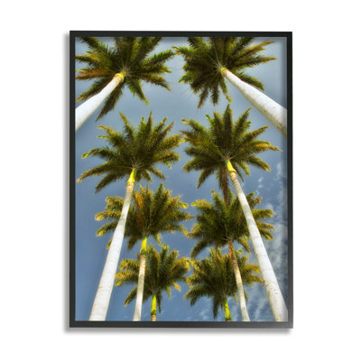 «Palm Trees Overhead» par Dennis Frates