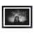 Black Framed