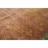 Hand Knotted Wool Indoor Rug