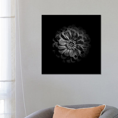 Black and White Zinnia V 1 Piece Wrapped Canvas Wall Art