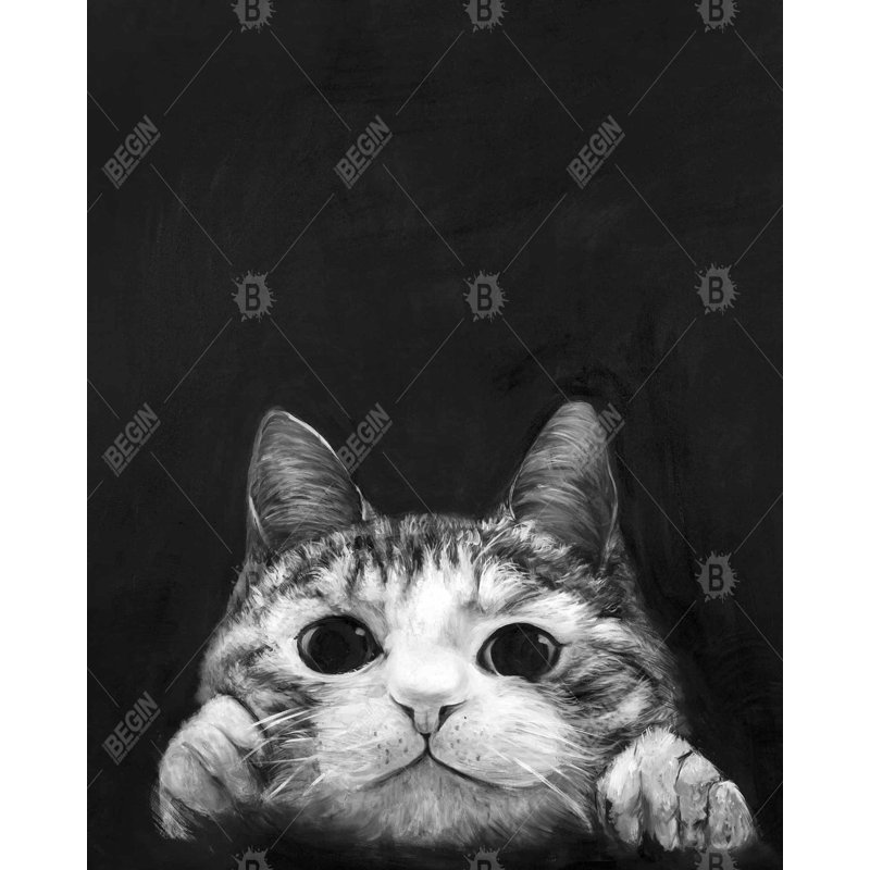 "Curious Cat" sur toile