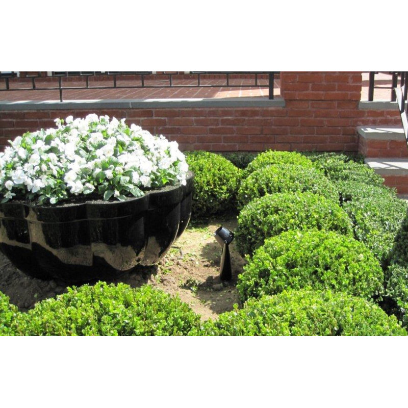 Handmade Pot Planter, Medium