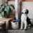Tucker Murphy Pet™ Fabric Decorative Basket