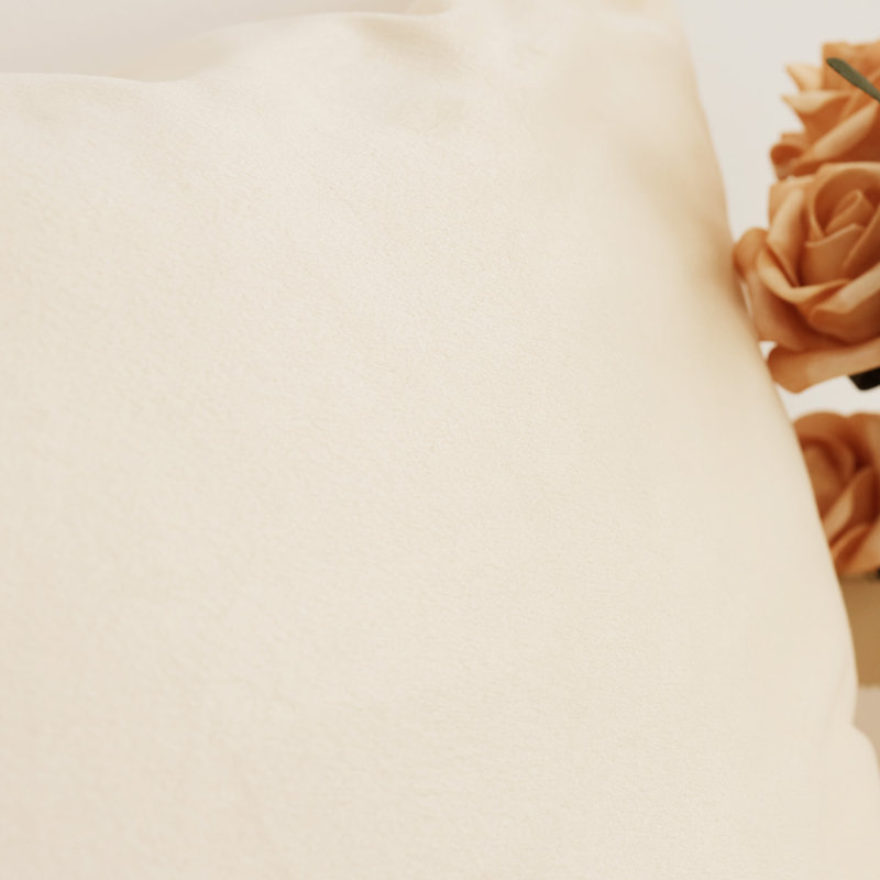 Soft Velvet Decorative Throw Pillow Covers For Couch Sofa, Beige, Rectangle 12"H x 20"W