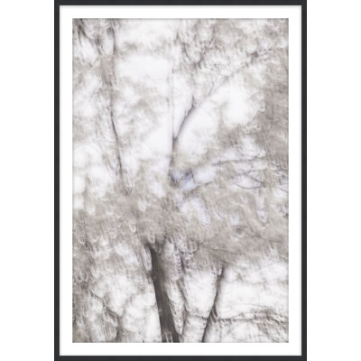 Ethereal 1 Print by Studio L57 Affinity