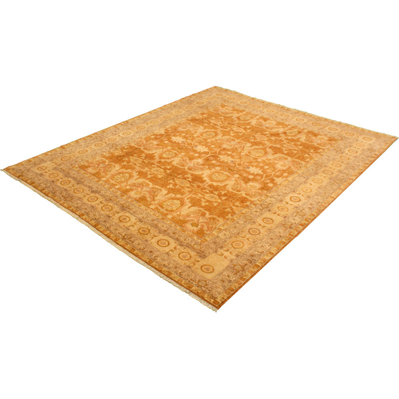 Tapis de la surface en laine 9 pi x 11 po à la main one-of-kind-noué la 2010 chobi brun Afrida