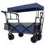 Collapsible Foldable Wagon With Canopy-125205182