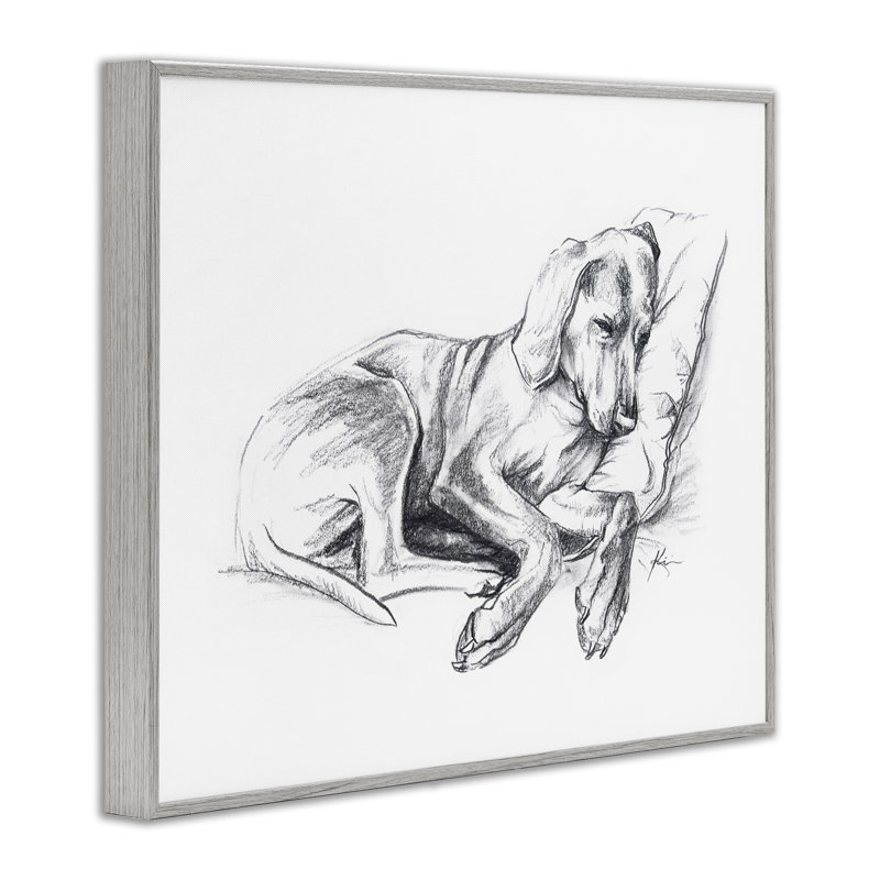 «Napping Dog», estampe numérique par Lindsay Kivi Fine Art, Estampe numérique Farmhouse, H 11 po x l 14 po