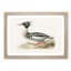 Merganser Diving Duck by Von Wright - Framed Print-55575620-55575621