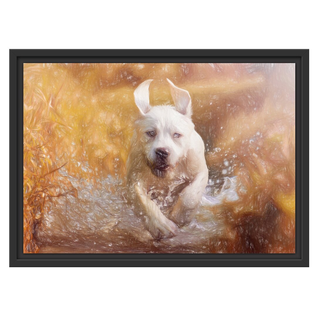 Gerahmtes Wandbild Labrador-Welpe Wasser