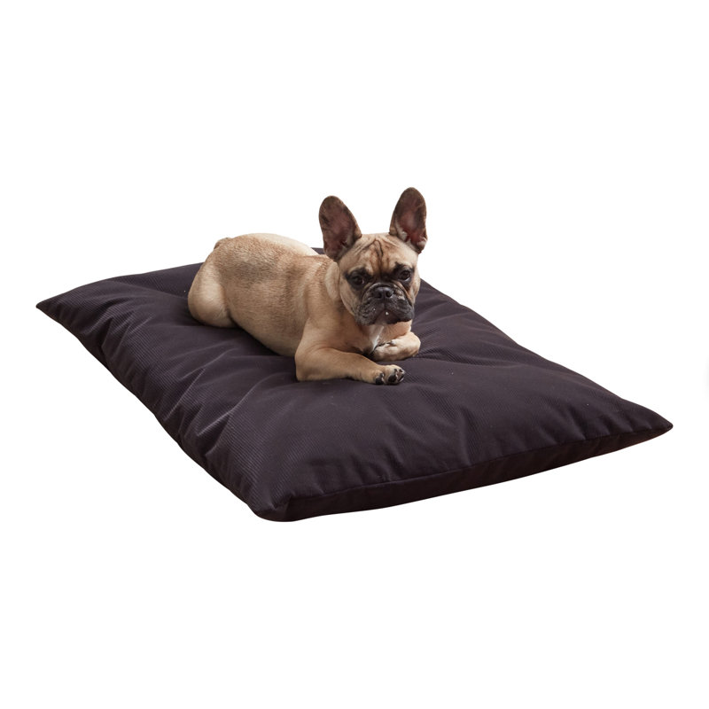 Lit pour chien en velours côtelé Gladmir, H 4 po x l 42 po x P 30 po, Vert
