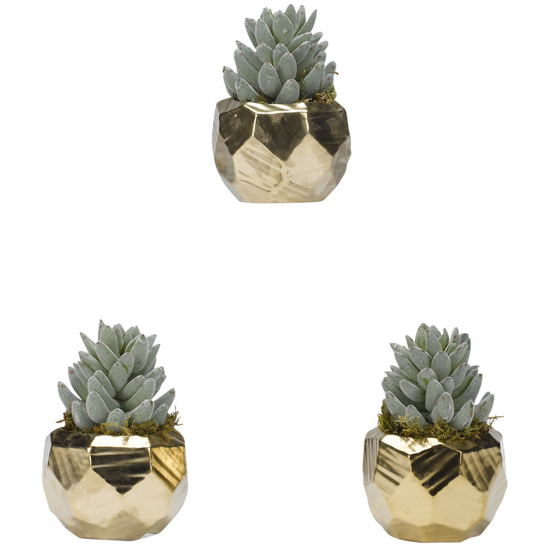6'' Faux Aloe Succulent in Ceramic Planter