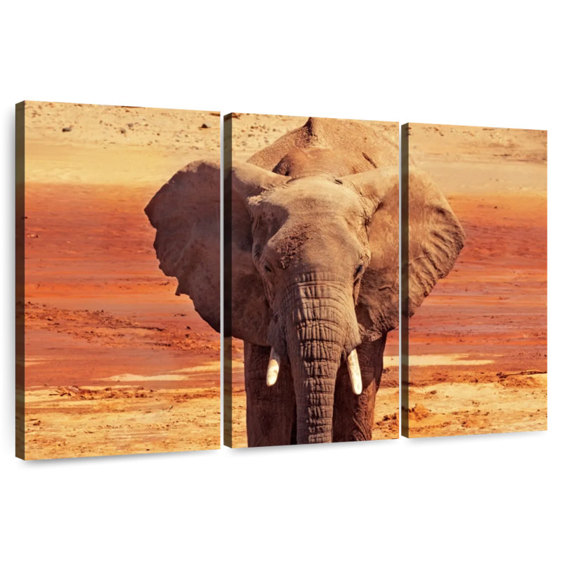 African Desert Elephant, 36" H x 57" W