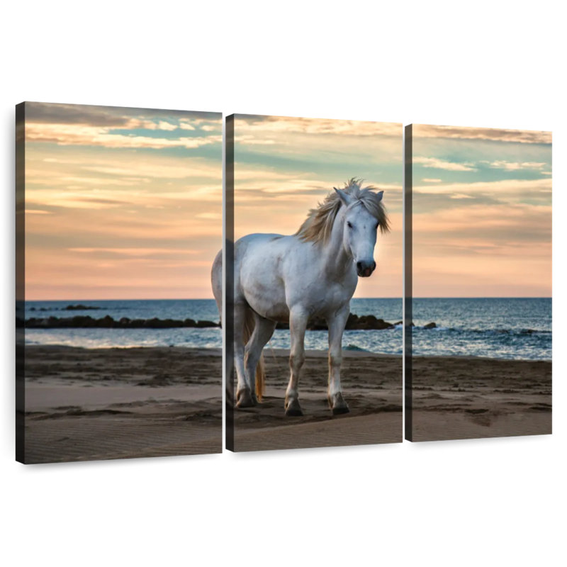 Brampt camargue sur une plage au sud de la France II, H 42 po x l 65 po
