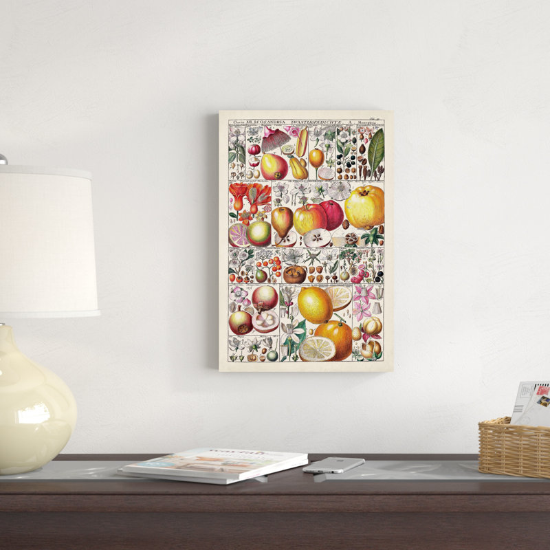 Tableau des fruits, H 18 po x l 12 po