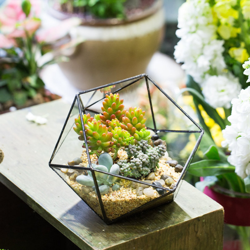 Bonsell Pot Planter