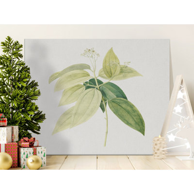 Osteen Wrapped Canvas Print Set
