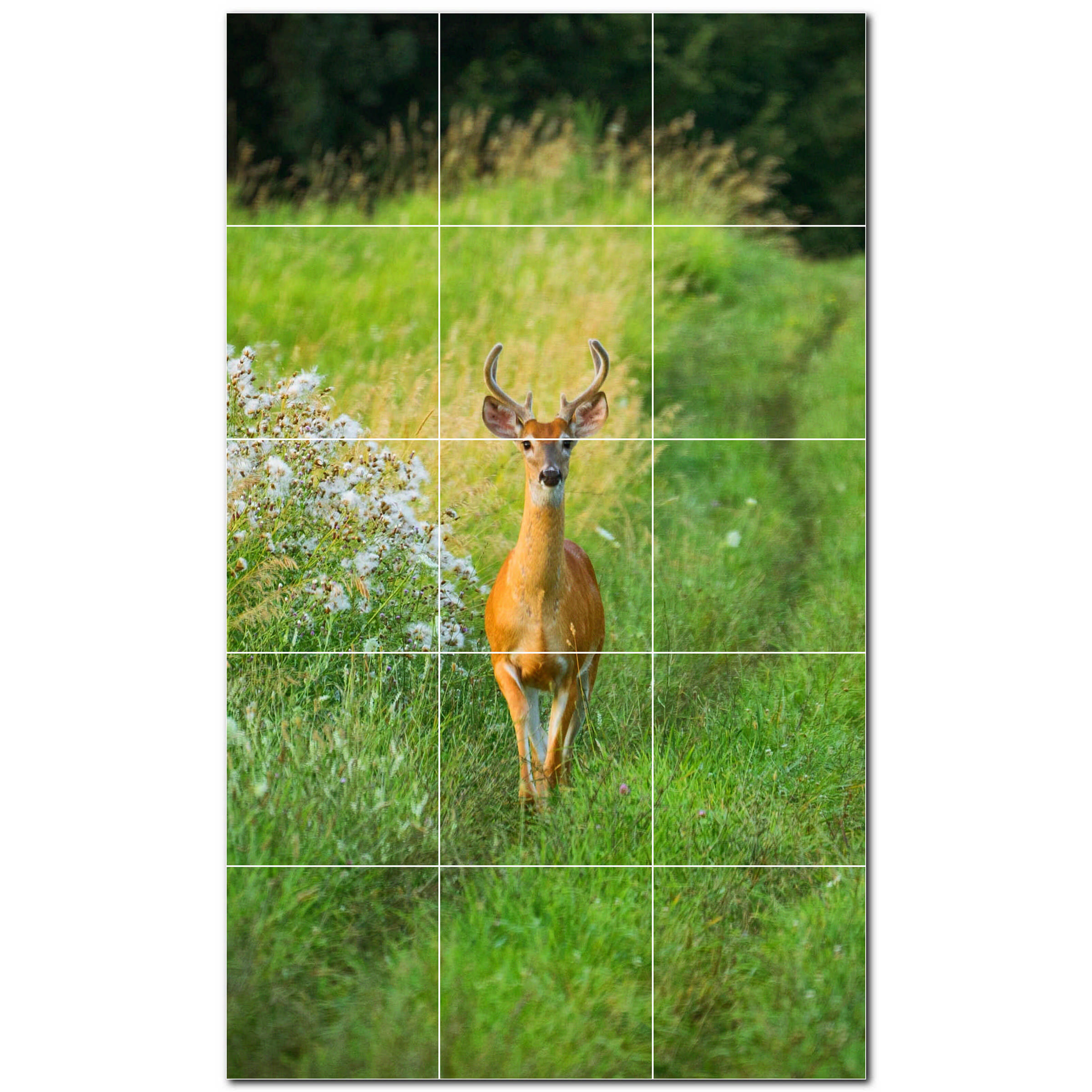 Picture Tiles Deer Photo 4 25 X 4 25 Satin Ceramic Decorative picture-tiles-deer-photo-4-25-x-4-25-satin-ceramic-decorative