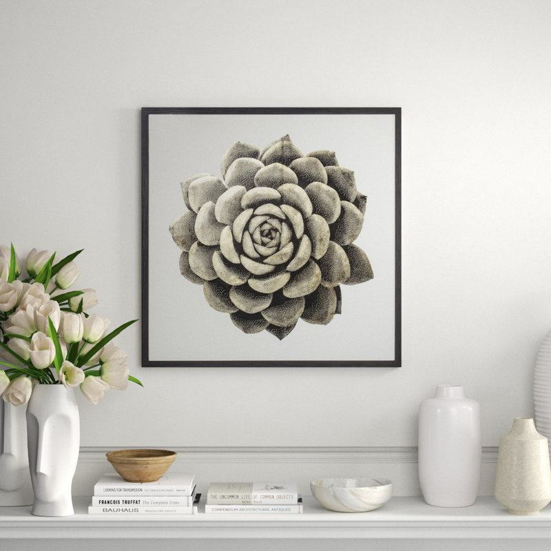Gold Succulent B Print
