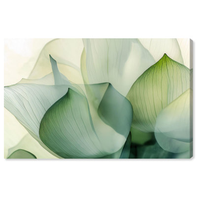 Translucent Floral Layers Canvas Digital Abstract by 