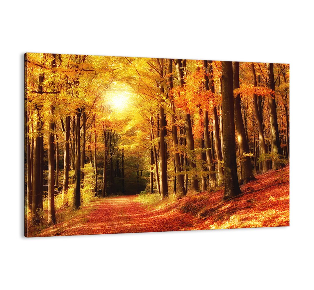 Leinwandbild - Fotografie „Golden Autumn on a Forest Road”