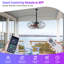 20-Inch Outdoor Plug-In Hanging Caged Ceiling Fan with LED Light, Remote and App Control, Black-76818318-76818317