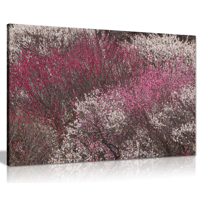 Plum Trees - Wrapped Canvas Print, 20cm H x 31cm W